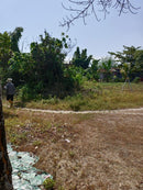 Tanah Lokasi Strategik Kg. Tok Elong Bukit Mertajam Penang