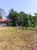 Tanah Lokasi Strategik Kg. Tok Elong Bukit Mertajam Penang