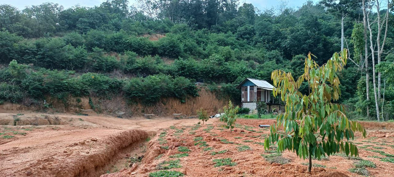 Tanah Bandar Baharu Kedah