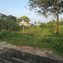 Tanah Taman Seri Arowana