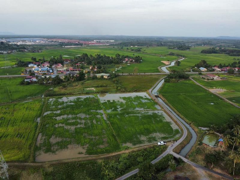 Tanah Bendang Jalan Utama Arau Perlis