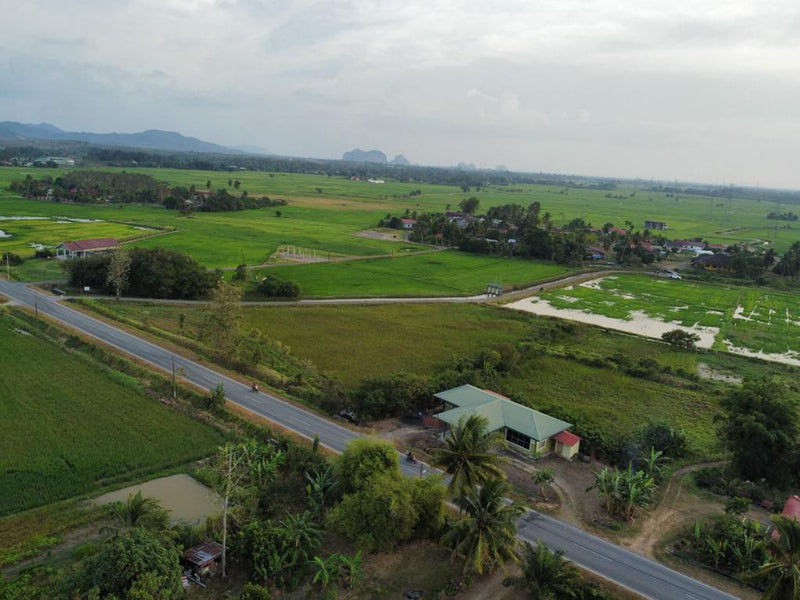 Tanah Bendang Jalan Utama Arau Perlis