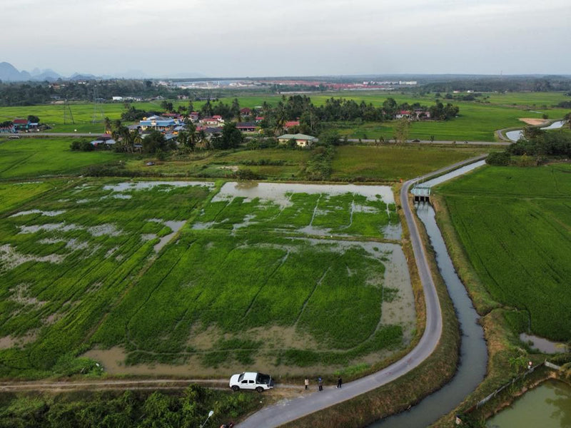 Tanah Bendang Jalan Utama Arau Perlis