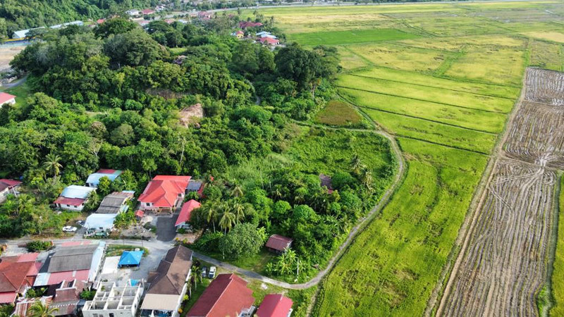 Tanah Kampung Nyior Manis Perlis