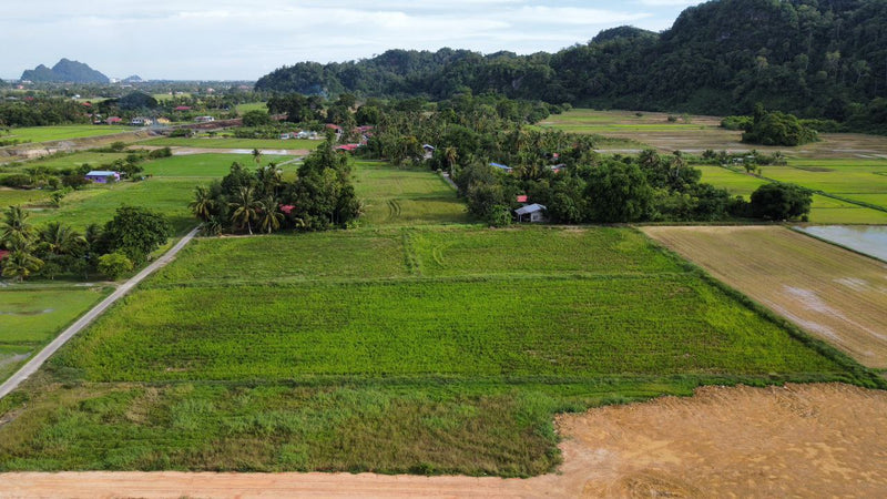 Tanah View Bukit dan Sawah Kurung Batang Perlis