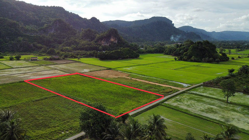 Tanah View Bukit dan Sawah Kurung Batang Perlis