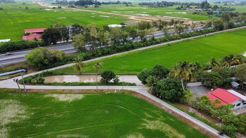 Tanah Bendang Setengah Relung Arau Perlis