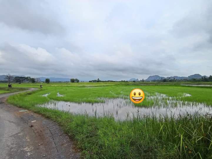 Tanah Bendang Kampung Paya Perlis