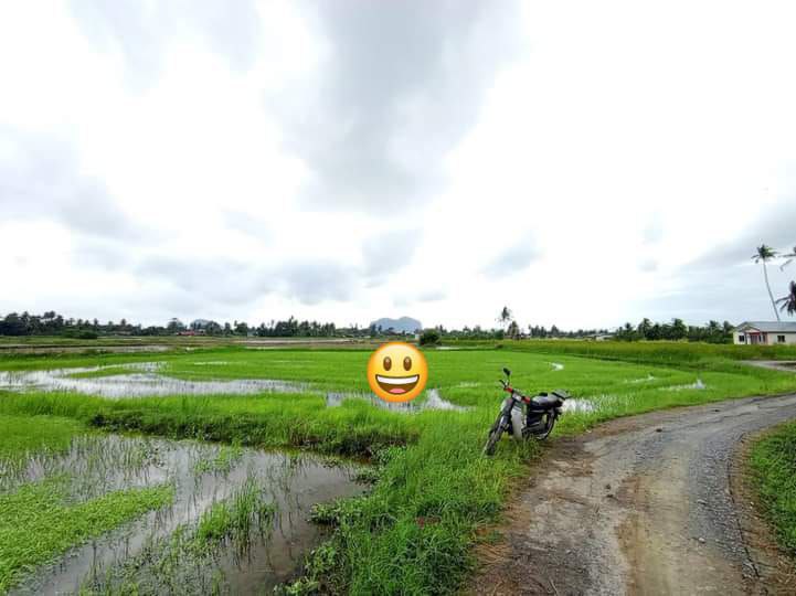 Tanah Bendang Kampung Paya Perlis