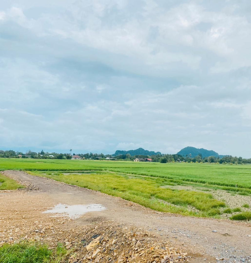 Tanah Wang Ulu Plot 7 dan 10 Kuala Perlis