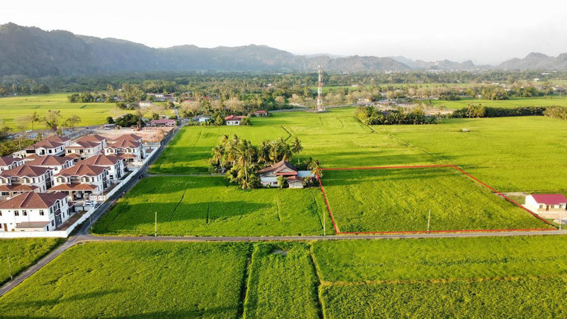 Tanah Bendang Untuk Dijual Jalan Tok Kuning Perlis