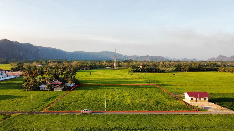 Tanah Bendang Untuk Dijual Jalan Tok Kuning Perlis