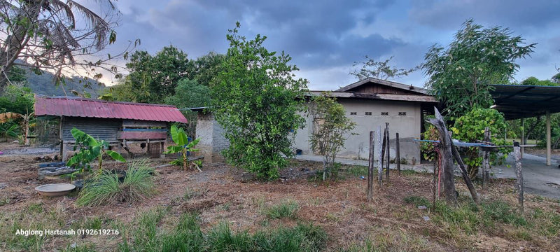 Tanah dan Rumah Teluk Syed Perlis