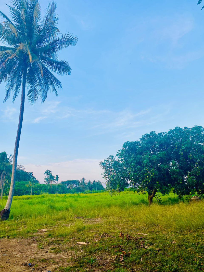 Tanah Kurong Batang Jalan Utama