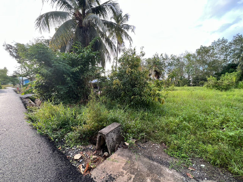 Tanah Kampung Padang Lati Perlis